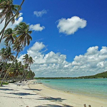 Eco Resort Praia Dos Carneiros By Canto Da Praia المظهر الخارجي الصورة